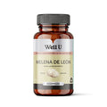 CÁPSULAS - MELENA DE LEÓN 600 mg 600 mg Extracto Hericium erinaceus | Hongo Funcional en Cápsula Vegetal
